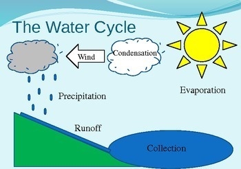 Arrange the process of the water cycle in correct order, starting with the heat from-example-1