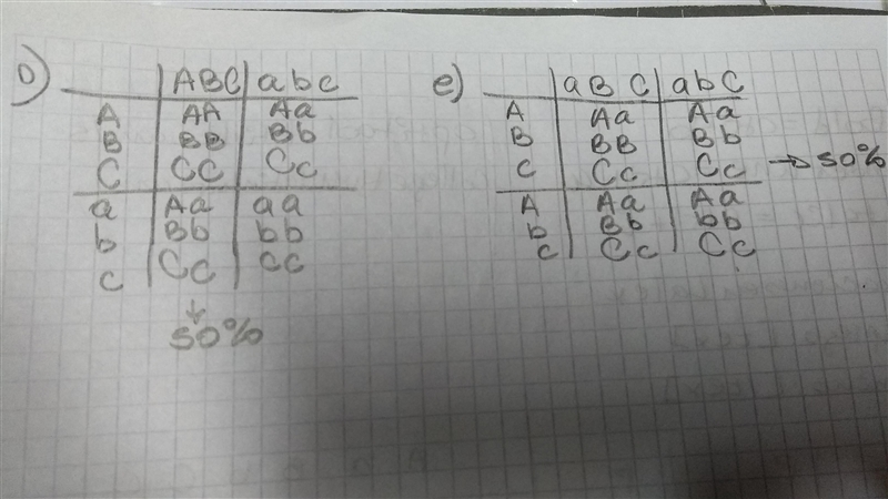 What is the probability that each of the following pairs of parents will produce the-example-1