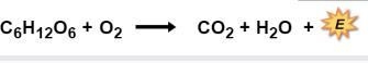 A chemical equation is balanced when each side of the equation includes the same number-example-1