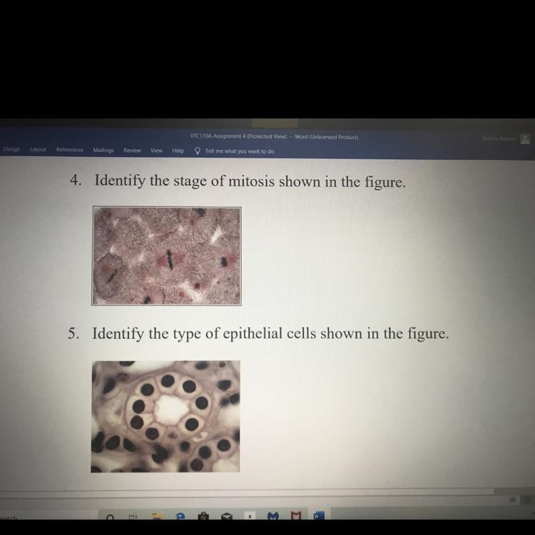 I need the answers for these 2 pictures please!!-example-1