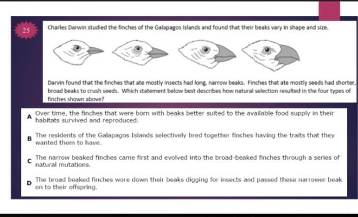 Charles Darwin studied the finches of the Galápagos Islands and found that their beaks-example-1