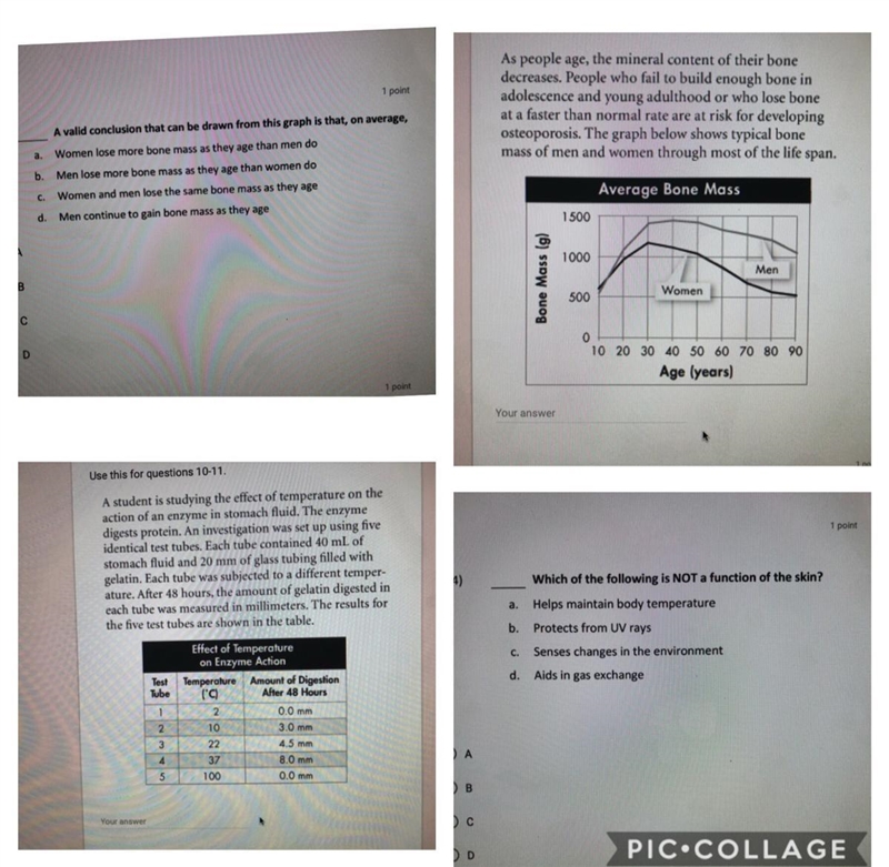 (50 point question) HELP PLEASE ASAP!!!-example-1