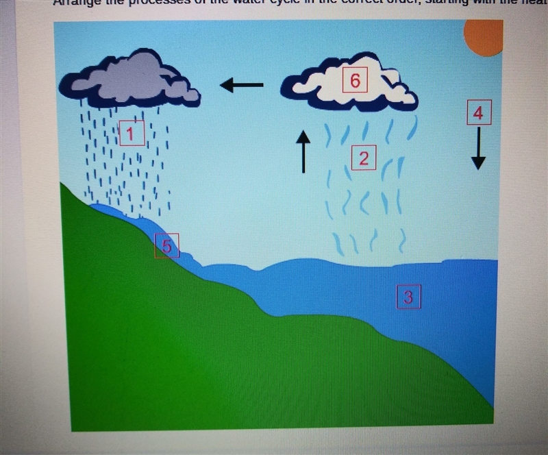 Arrange the process of the water cycle in correct order, starting with the heat from-example-1