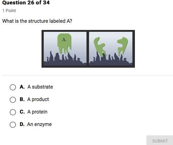 What is the structure labeled A?-example-1