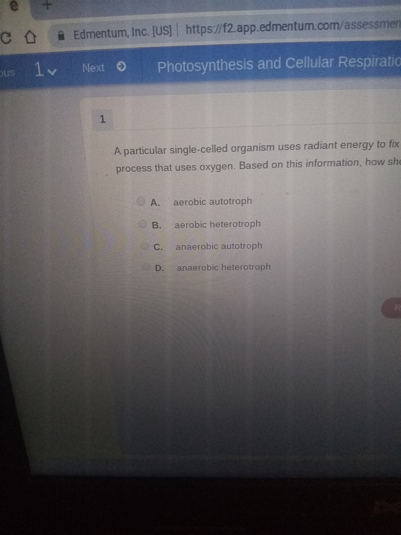 a particular single celled oerganism uses radiation energy to fix carbon as sugars-example-1