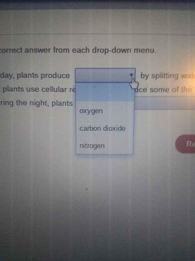 during the day, plants produce _ by splitting water molecules in the light dependent-example-1