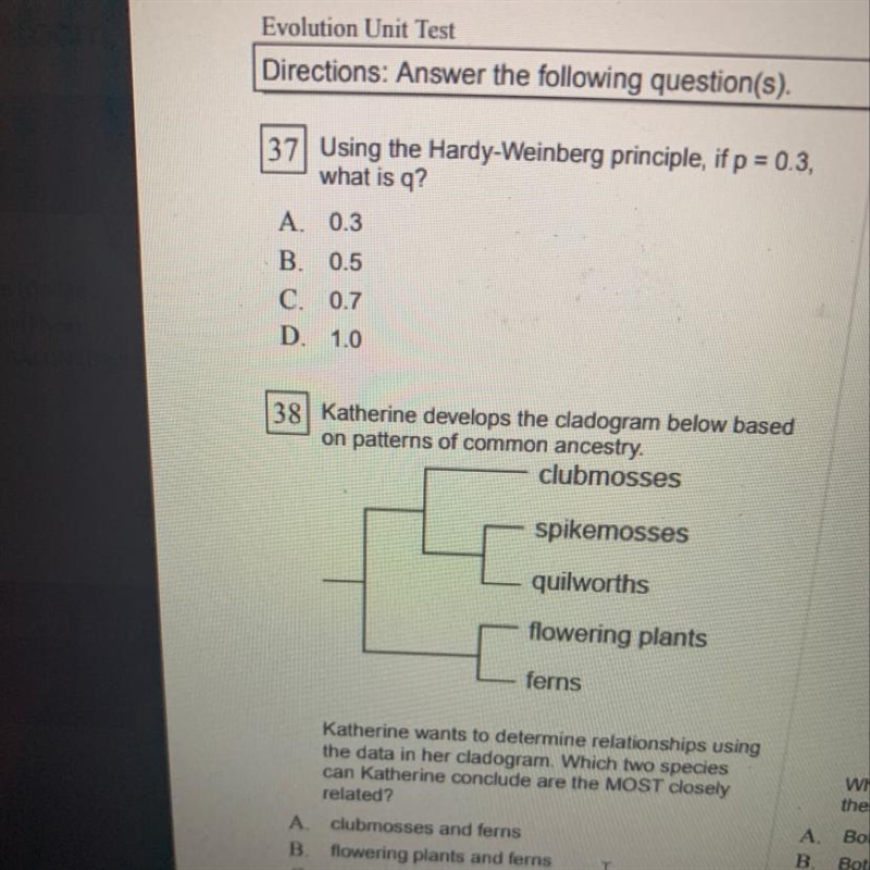 Directions: Answer the following question(s). Using the Hardy-Weinberg principle, if-example-1