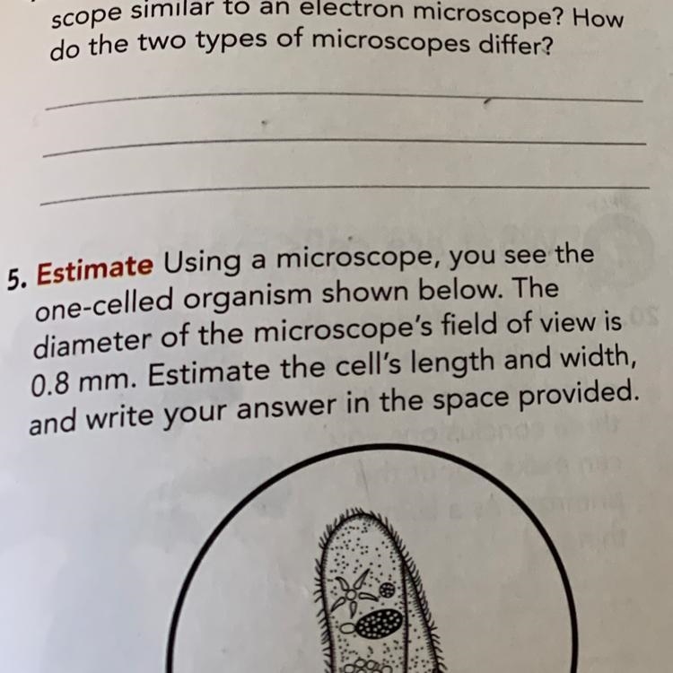 Can you help with number 5? I didn’t feel like writing it.-example-1