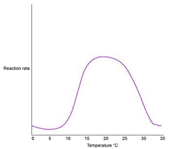 The graph above shows the progress of an enzyme-catalyzed chemical reaction. Based-example-1