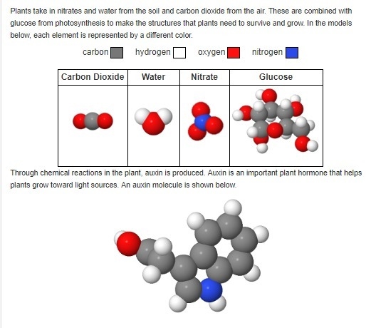 Which molecules can provide the reactants for the production of auxin? A. nitrate-example-1