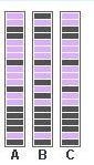 Shown below are the DNA scans for three frogs that look alike. Which frogs are identical-example-1