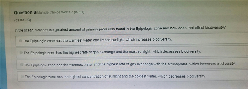 in the ocean why are the greatest amount of primary producers found in the epipelagic-example-1