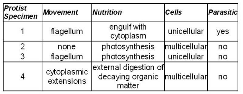 This table shows characteristics of four unknown protist species. Which protist specimen-example-1