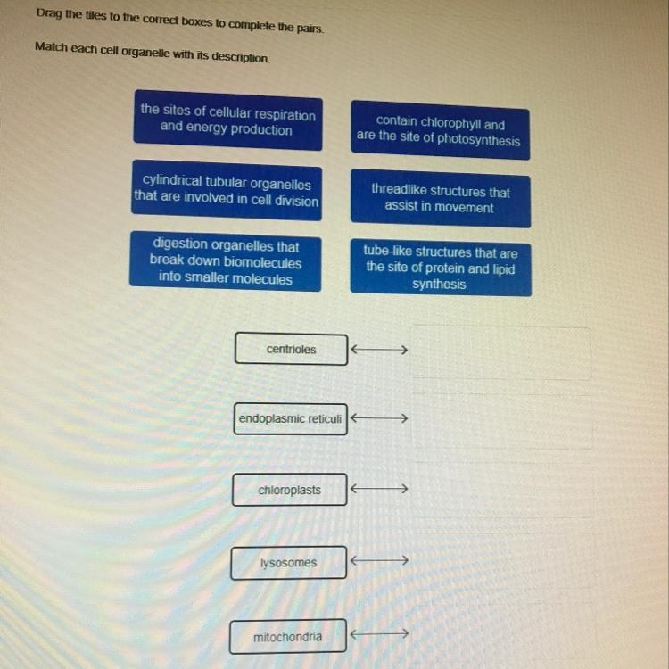 Match each cell organelle with its description-example-1