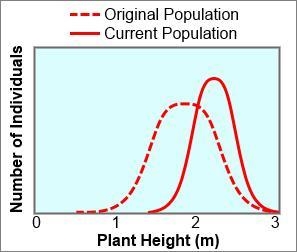 Which tenet of Darwin's theory of natural selection is best exemplified by the data-example-1