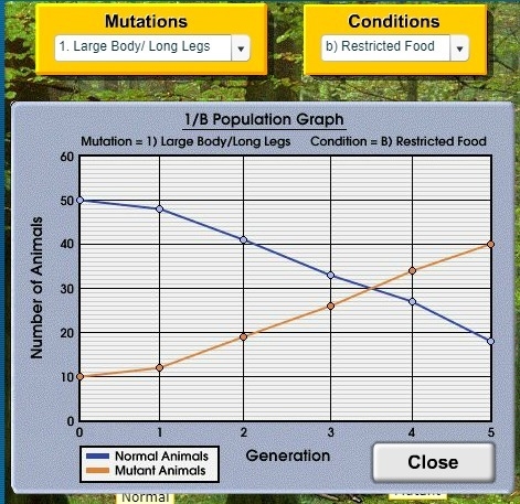 A population of rabbits live in a local forest. Some had a mutation for a Large Body-example-1