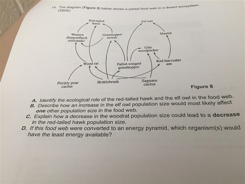 Please help me to understand i need help i just don’t know-example-1