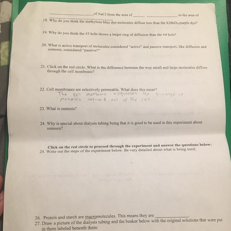 Ap biology work pls help-example-1