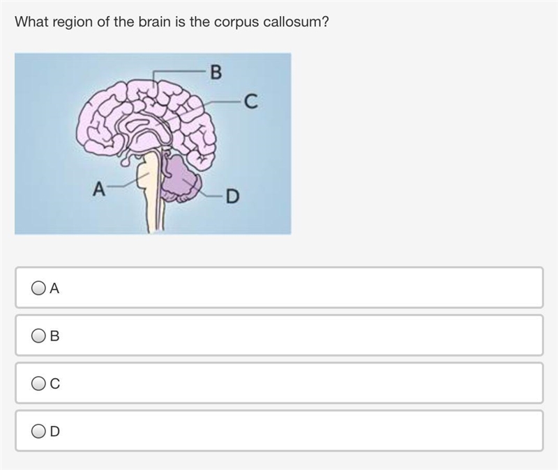 Hey! Can someone please help me with these 2 questions? Thanks!-example-1