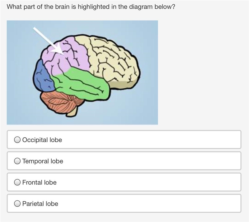 Hey! Can someone please help me with these 2 questions? Thanks!-example-2