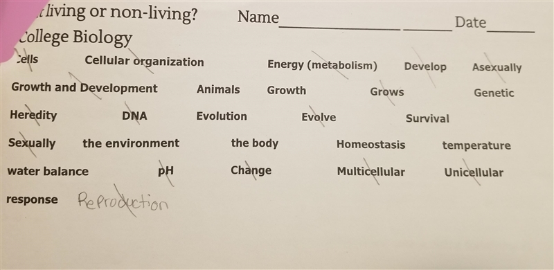 I need help on this. Here's also an answer key I know I got some wrong but can someone-example-1