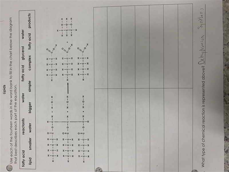 Can someone please help me with this chart? There's a word bank and it's about lipids-example-1