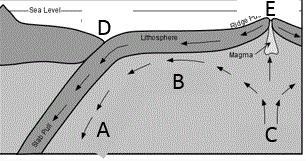 Explain how convection currents drive the movement of tectonic plates in the lithosphere-example-1