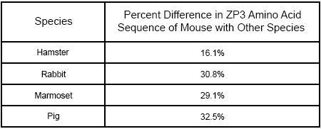 With which species do mice share the most recent common ancestor? marmosets pigs rabbits-example-1