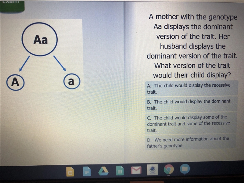 Help me with biology please-example-1