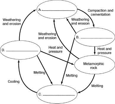 Complete Figure 9-1 by inserting the correct terms in the rock cycle diagram.-example-1