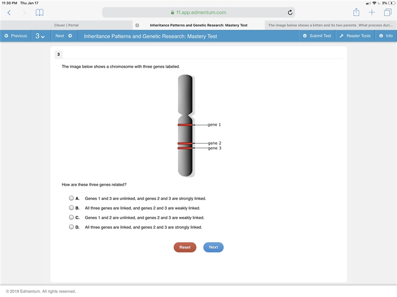 PLEASE HELP ‘How are the three genes related???-example-1