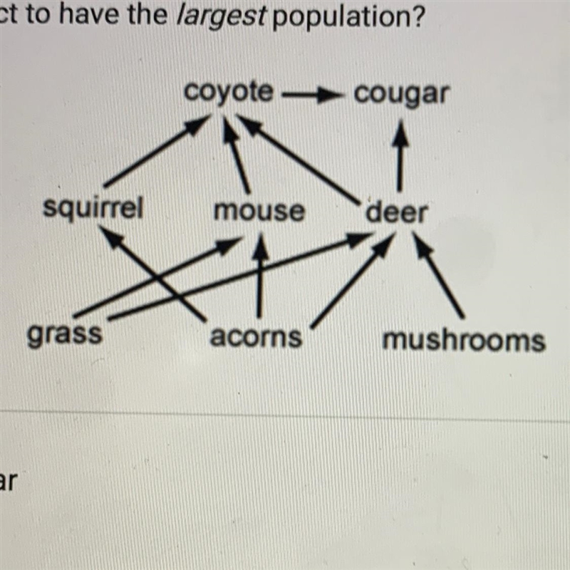 Assuming that this is a healthy ecosystem, which of the following organisms would-example-1