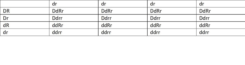 What phenotypic ratio would you expect as a result of a test cross between a dihybrid-example-1