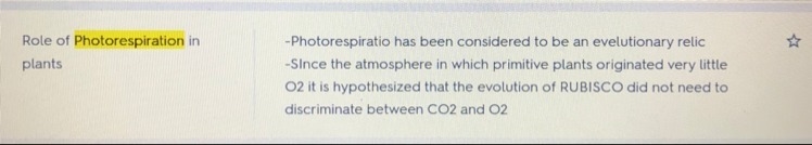 What is the role of photorespiration in plants?-example-1