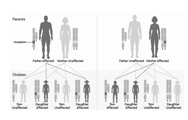 The inheritance of a skin condition in humansConsider the following family history-example-1