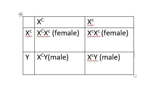 a reessive allele on the x chromosome is responsible for red-green color blindness-example-1