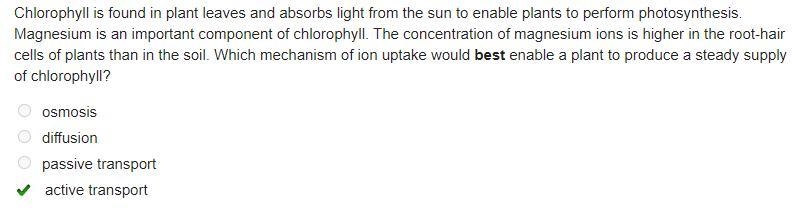 Chlorophyll is found in plant leaves and absorbs light from the sun to enable plants-example-1