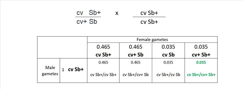 In Drosophila, the genes crossveinless and Stubble are linked, about 7 map units apart-example-1