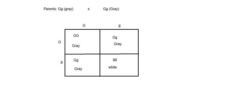 Gray seed color in peas is dominant to white. Assume that Mendel conducted a series-example-1