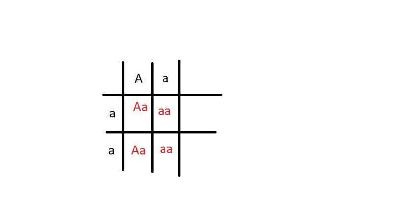 Fill in the Punnett square for a cross between the following individuals. Aa x aa-example-1