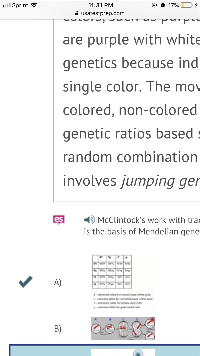 McClintock's work with transposons calls into question the model of inheritance patterns-example-1