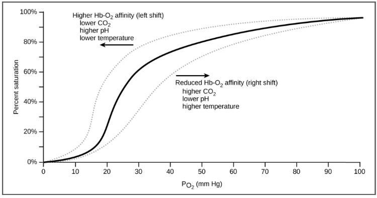 At a PO₂ of 70 mm Hg and normal temperature and pH, hemoglobin is ________% saturated-example-1