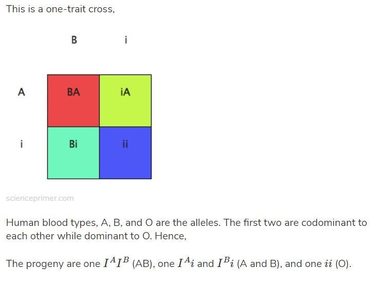 Cross 2 parents, one that has the genotype IAi and the other that has the genotype-example-1