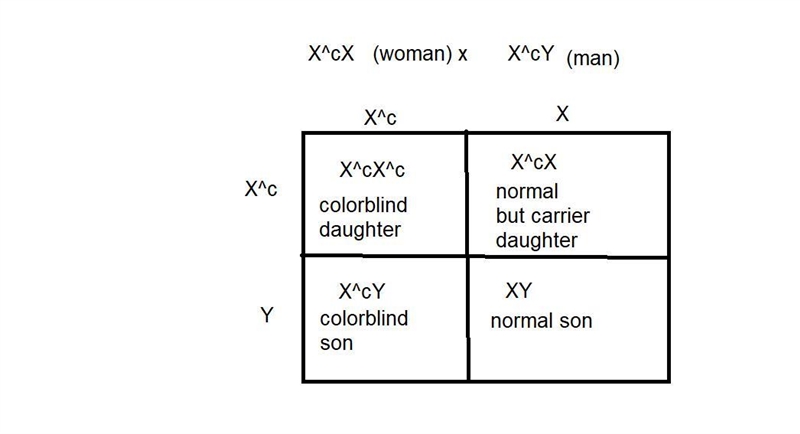 A recessive allele on the x chromosome is responsible for red-green color blindness-example-1