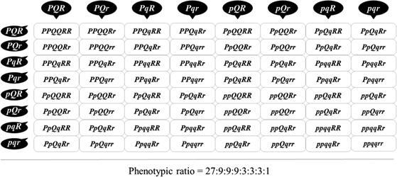 If a plant that is heterozygous for all three characters is allowed to self-fertilize-example-1