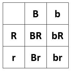 A black Bb (codominant) bird mates with a red Rr (codominant) bird. Both b and r are-example-1