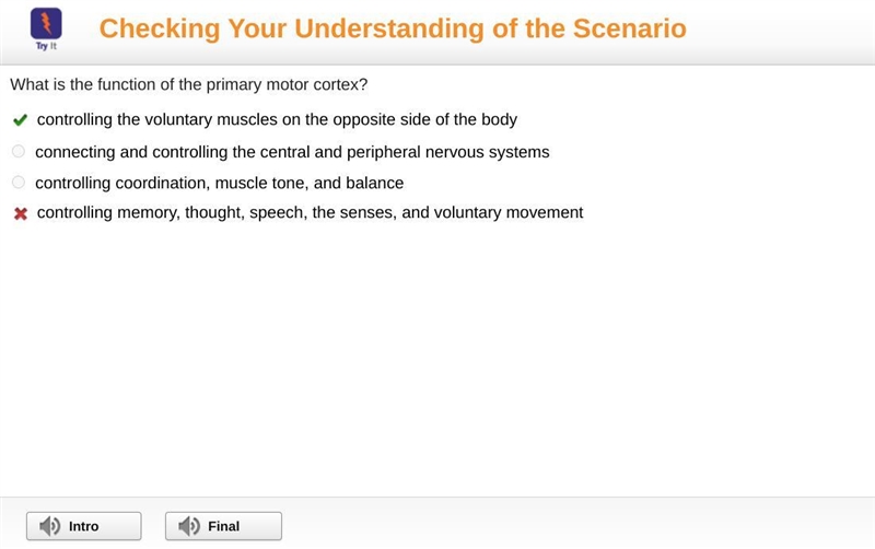 The primary motor cortex for control of voluntary muscles is found in the-example-1