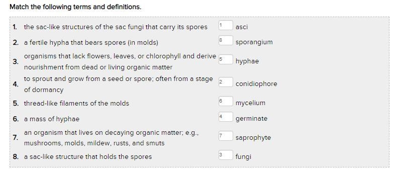 1. the sac-like structures of the sac fungi that carry its spores asci 2. a fertile-example-1