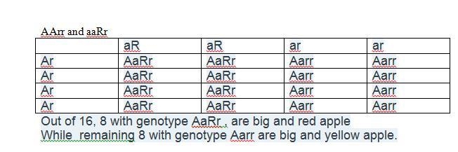 Assume that there is a gene in apples that determines fruit color and a second gene-example-1