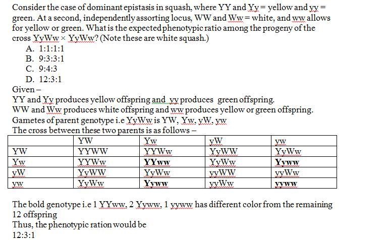 Consider the case of dominant epistasis in squash, where YY and Yy = yellow and yy-example-1